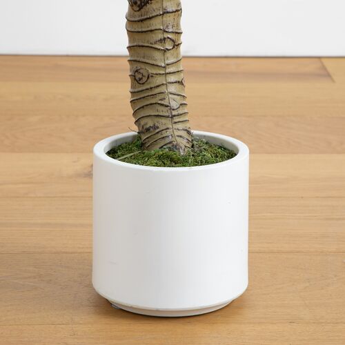 Faux Arrowhead Philodendron in White Decorative Planter 5 Faux Arrowhead Philodendron in White Decorative Planter