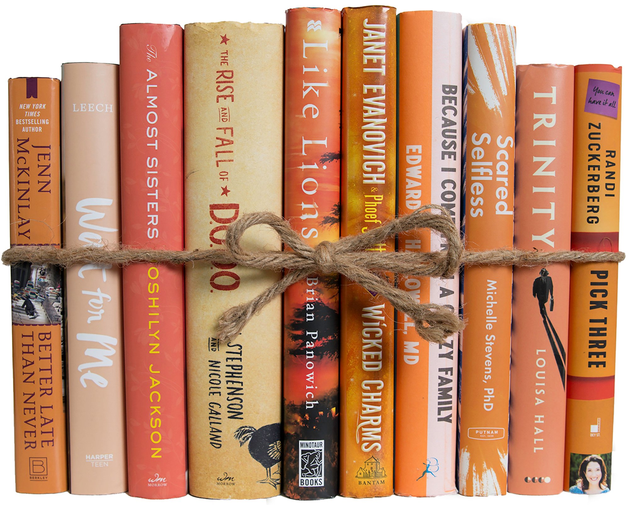 1-Foot Decorative Book Bundle, Apricot