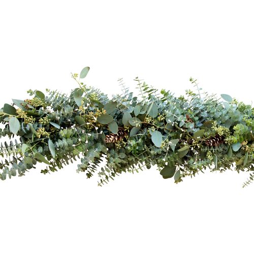 Winter Eucalyptus Garland, Live