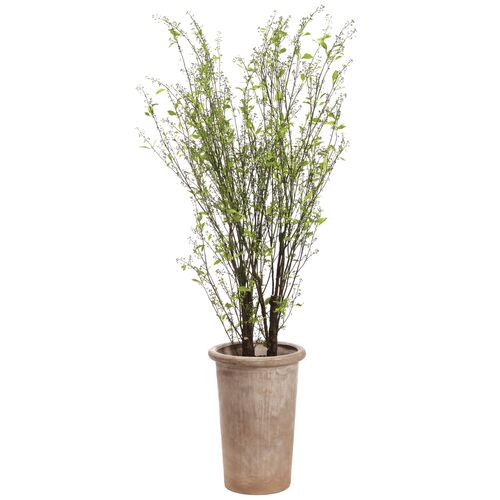 8' Berry Tree in Cement?Planter, Faux 1 8' Berry Tree in Cement?Planter, Faux