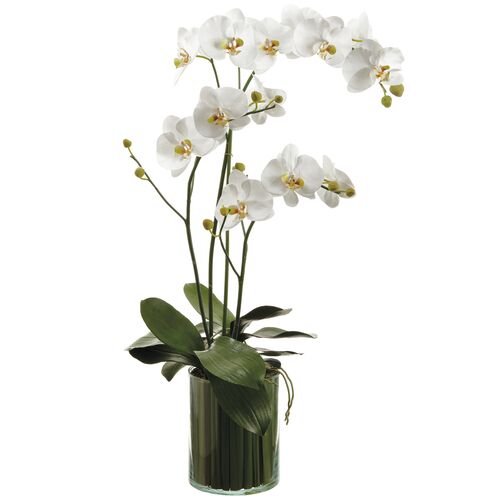 36" Orchids in Soil?Glass Vase, Faux 1 36" Orchids in Soil?Glass Vase, Faux