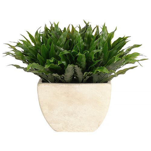 11" Fern Bird Nest in Round Ceramic Vase, Faux 1 11" Fern Bird Nest in Round Ceramic Vase, Faux