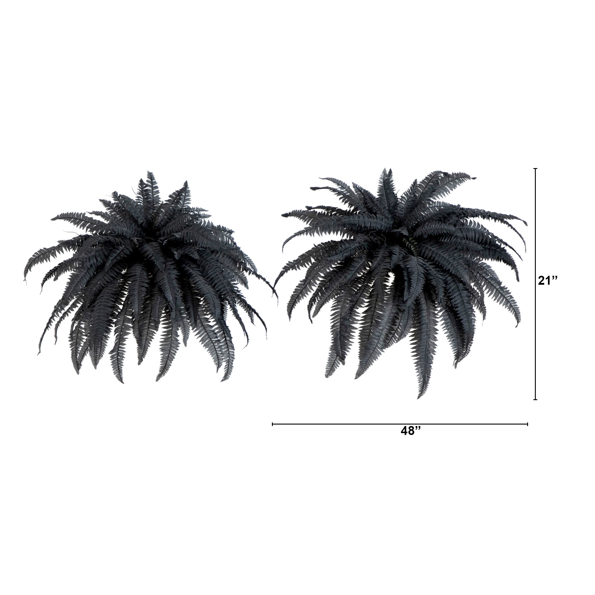 Set of 2 Halloween Black Boston Fern 2 Set of 2 Halloween Black Boston Fern
