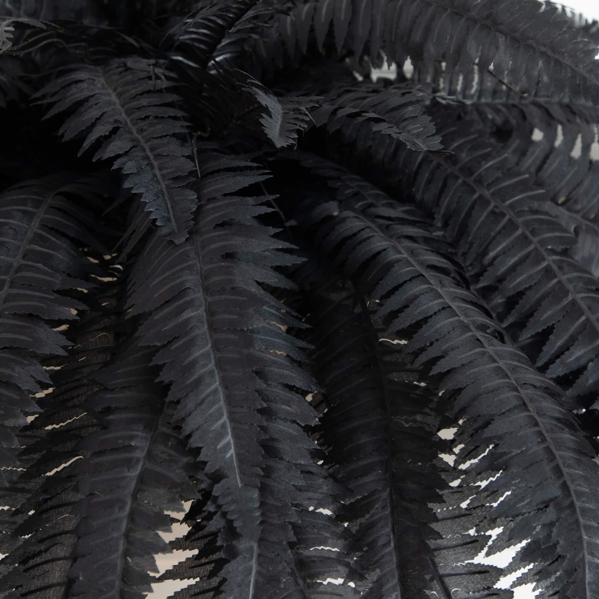 Set of 2 Halloween Black Boston Fern 3 Set of 2 Halloween Black Boston Fern