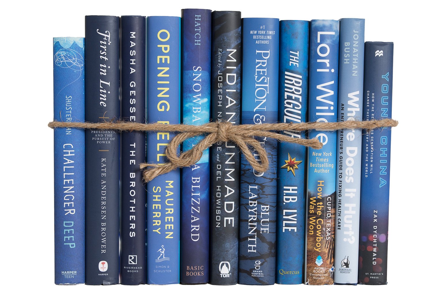 1-Foot Decorative Book Bundle, Blue Jean