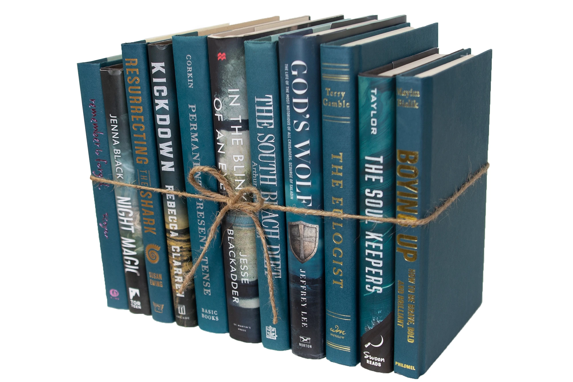 1-Foot Modern Book Bundle, Winter Spruce 1 1-Foot Modern Book Bundle, Winter Spruce