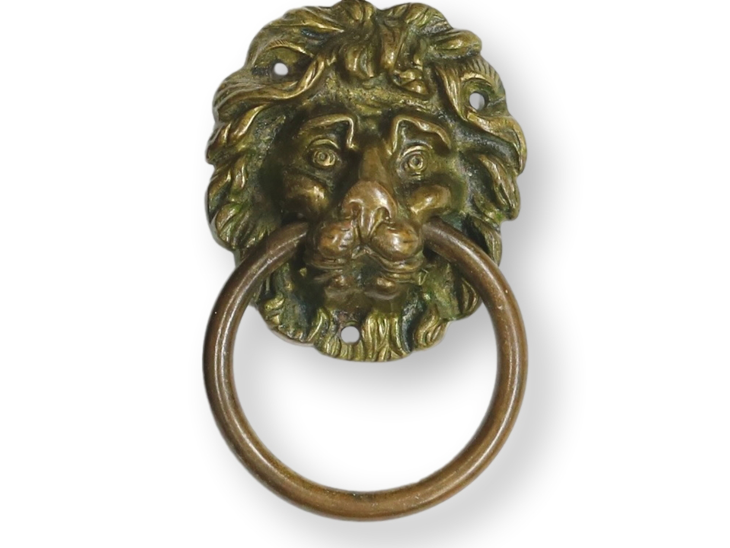Antique Brass Lion Head Drawer Pulls,S/6 2 Antique Brass Lion Head Drawer Pulls,S/6