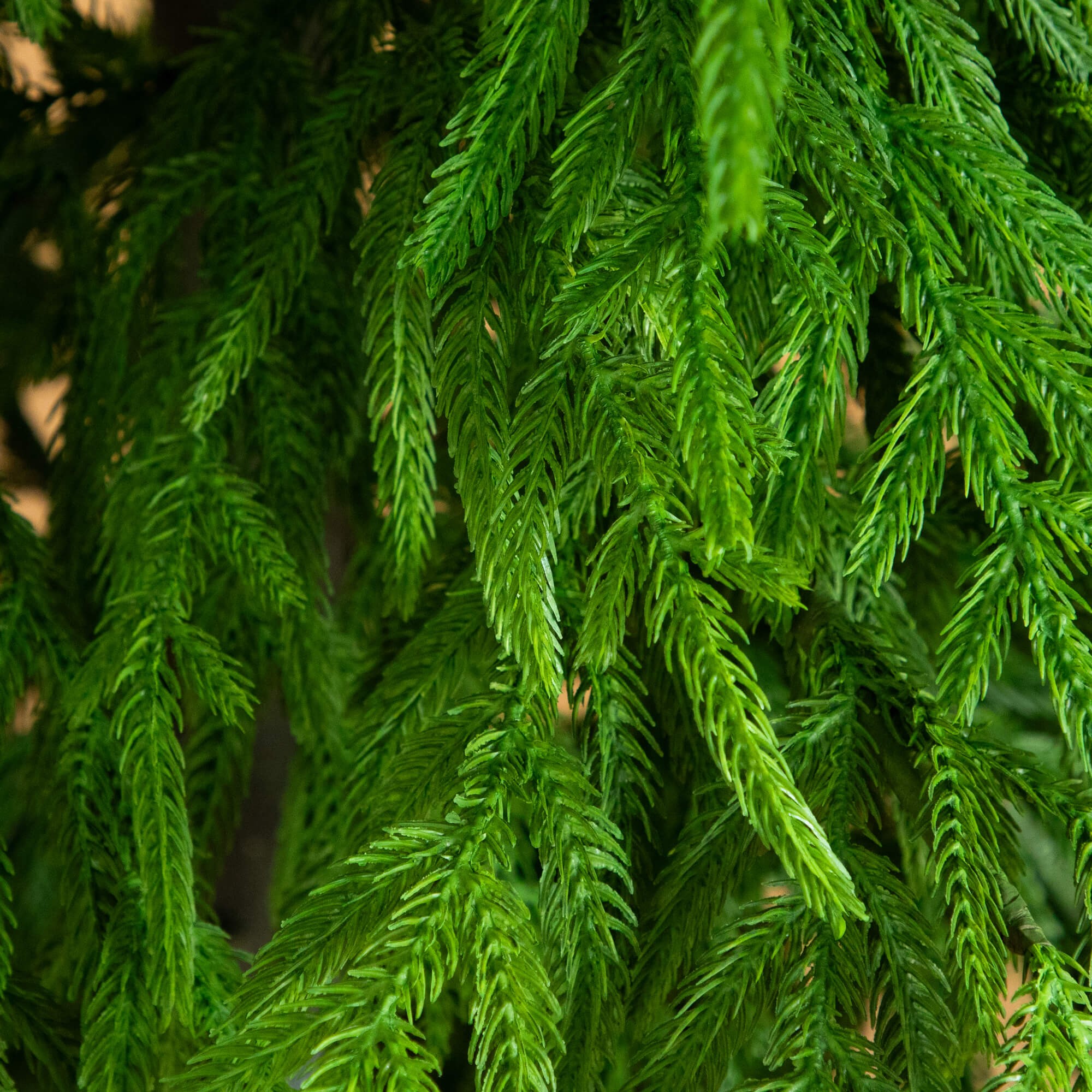 Real Touch Norfolk Island Pine Christmas Tree with Natural Look 3 Real Touch Norfolk Island Pine Christmas Tree with Natural Look