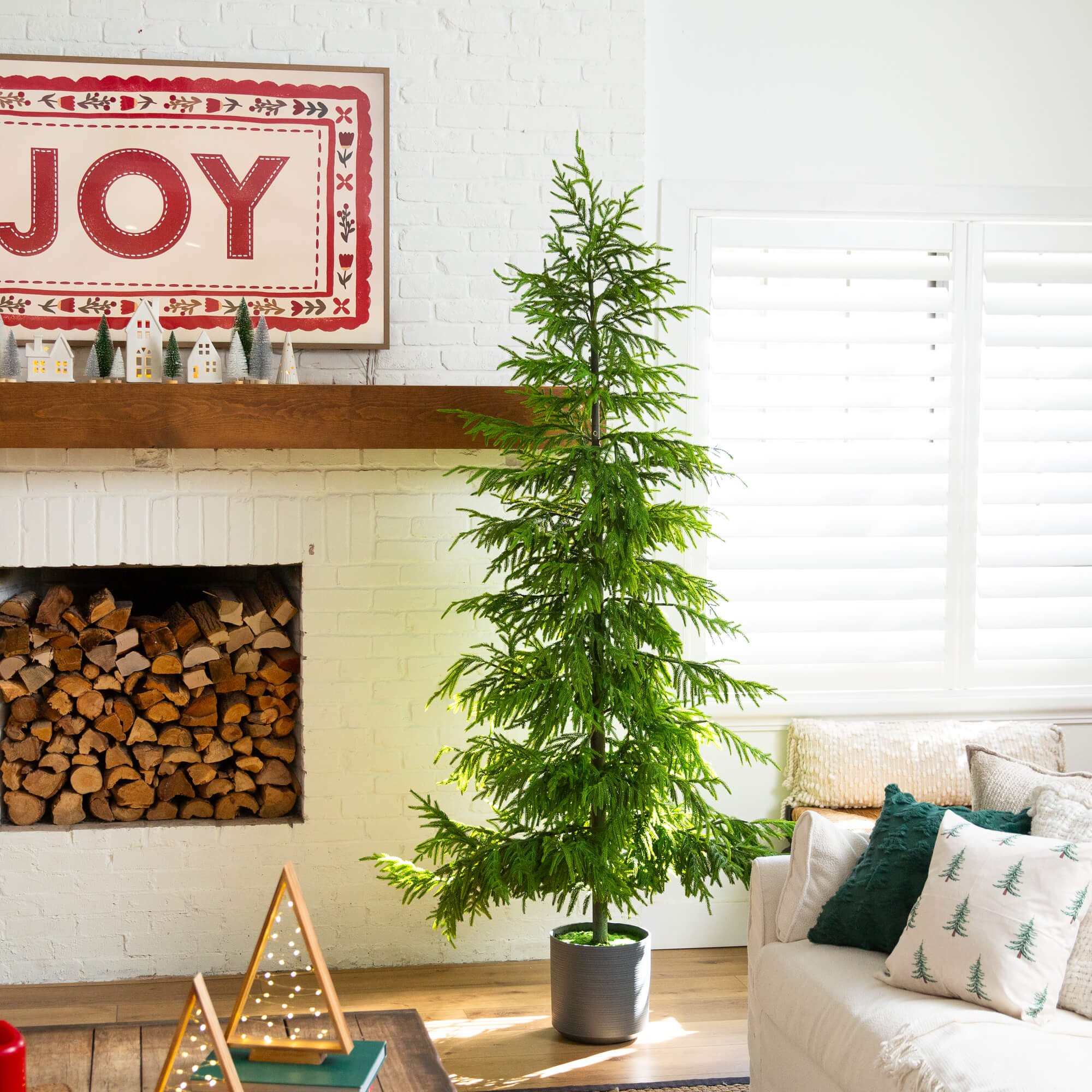 Real Touch Norfolk Island Pine Christmas Tree with Natural Look 6 Real Touch Norfolk Island Pine Christmas Tree with Natural Look