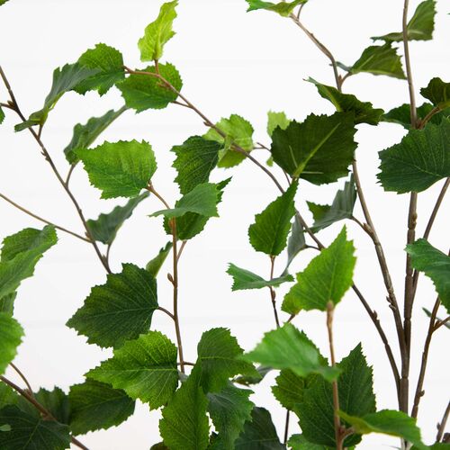 4ft. Artificial Birch Tree with Real Touch Leaves 3 4ft. Artificial Birch Tree with Real Touch Leaves