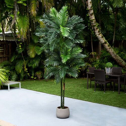 9ft. UV Resistant Artificial Double Robellini Palm Tree 8 9ft. UV Resistant Artificial Double Robellini Palm Tree