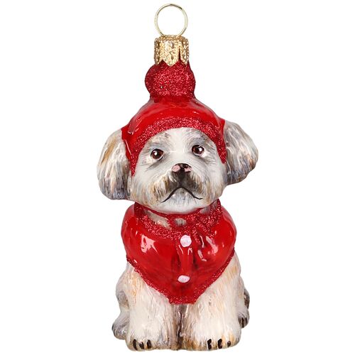 Shih Tzu in Winter Coat and Ski Hat 1 Shih Tzu in Winter Coat and Ski Hat