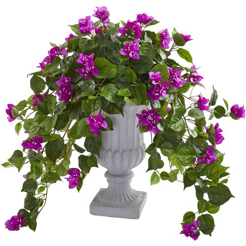 Bougainvillea with Decorative Urn 1 Bougainvillea with Decorative Urn