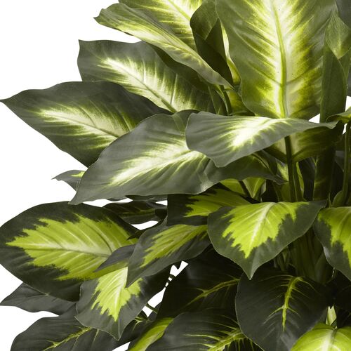 22" Faux Dieffenbachia Plant 2 22" Faux Dieffenbachia Plant