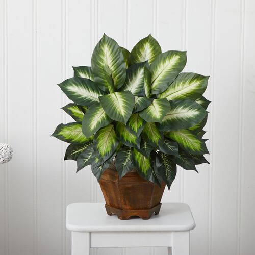 22" Faux Dieffenbachia Plant 4 22" Faux Dieffenbachia Plant