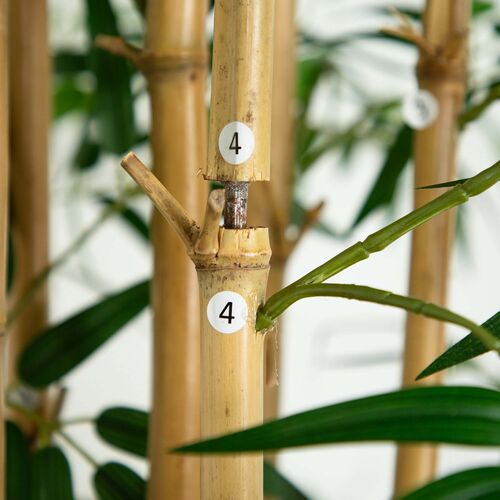 11ft. Artificial Bamboo Tree with Real Bamboo Trunks 4 11ft. Artificial Bamboo Tree with Real Bamboo Trunks