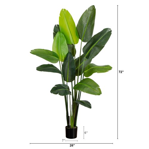 6ft Faux UV Resistant Indoor/Outdoor Travelers Palm Tree 6 6ft Faux UV Resistant Indoor/Outdoor Travelers Palm Tree