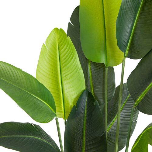 6ft Faux UV Resistant Indoor/Outdoor Travelers Palm Tree 7 6ft Faux UV Resistant Indoor/Outdoor Travelers Palm Tree