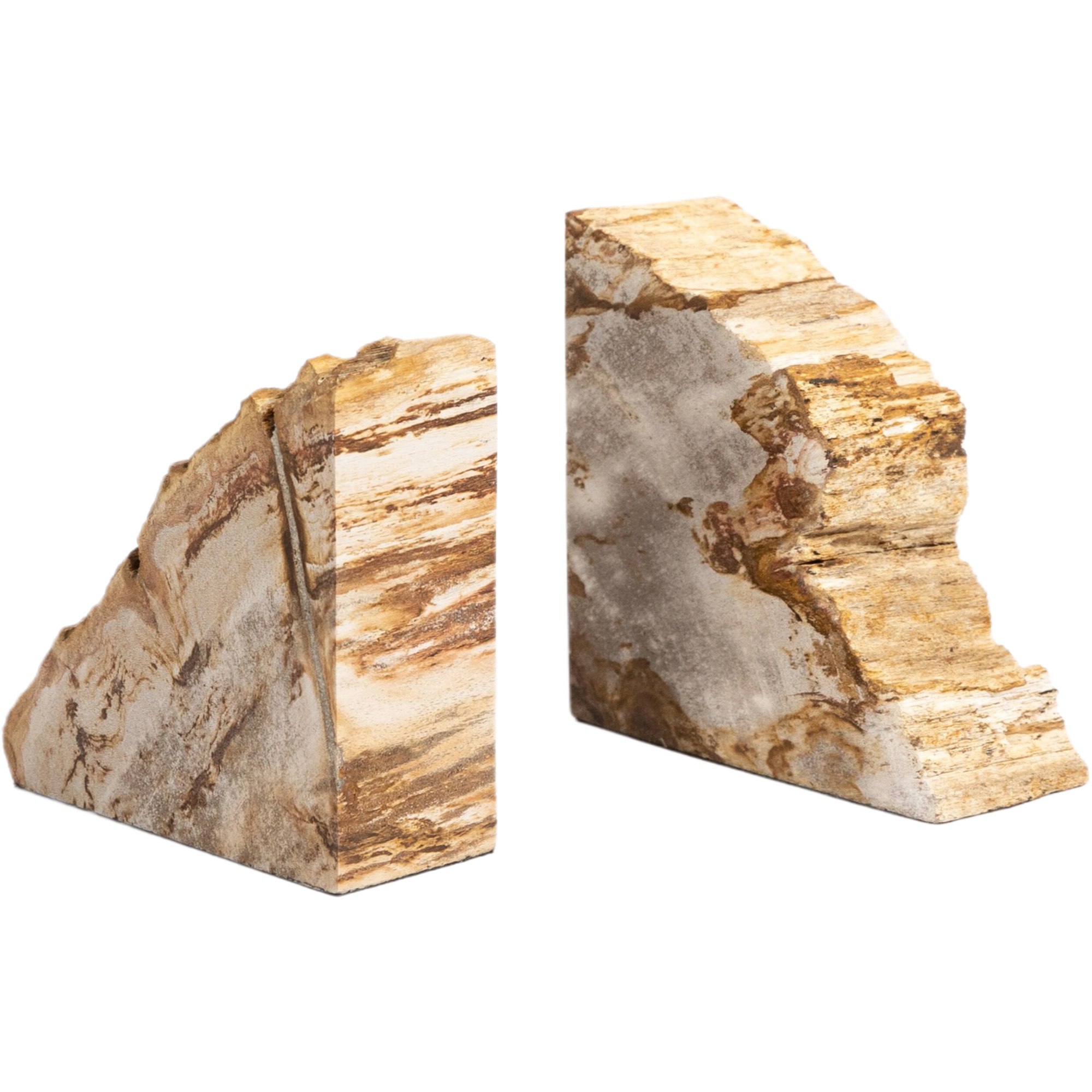 Kivo Petrified Wood Book Ends, Light Petrified Wood