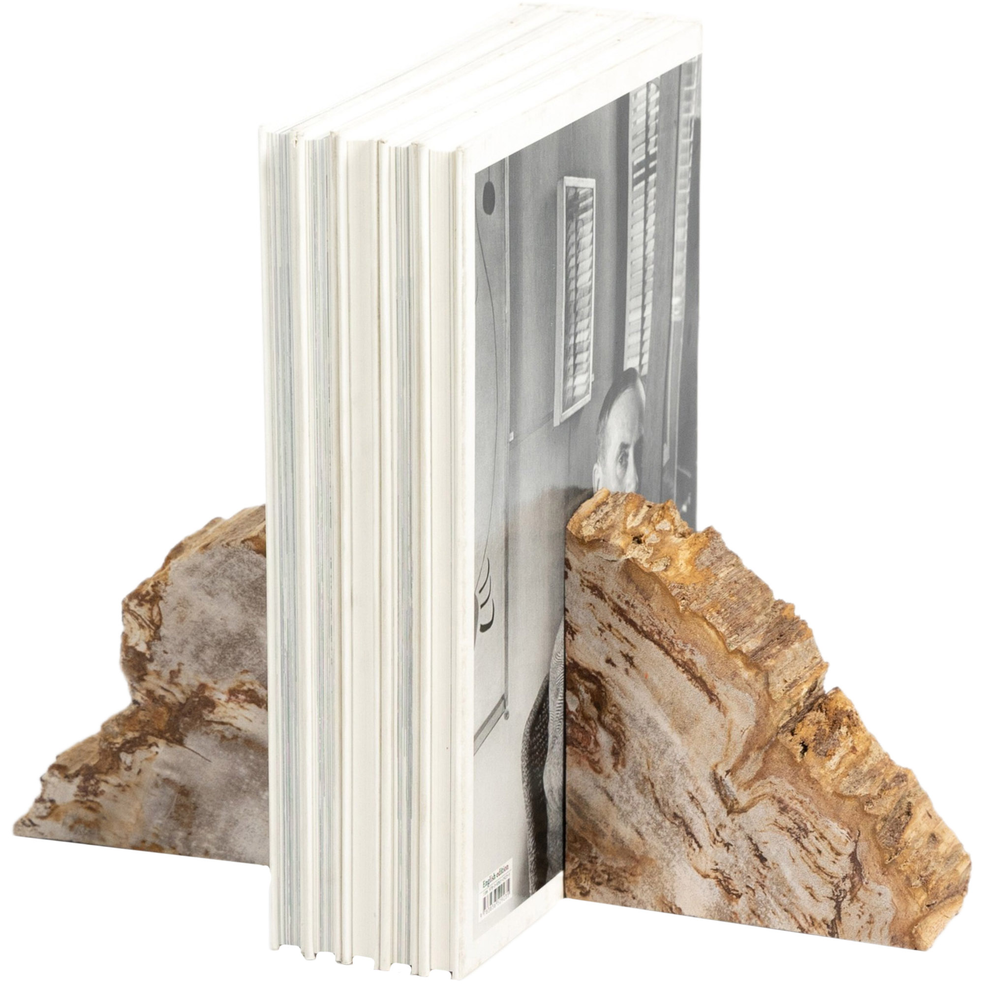 Kivo Petrified Wood Book Ends, Light Petrified Wood 10 Kivo Petrified Wood Book Ends, Light Petrified Wood