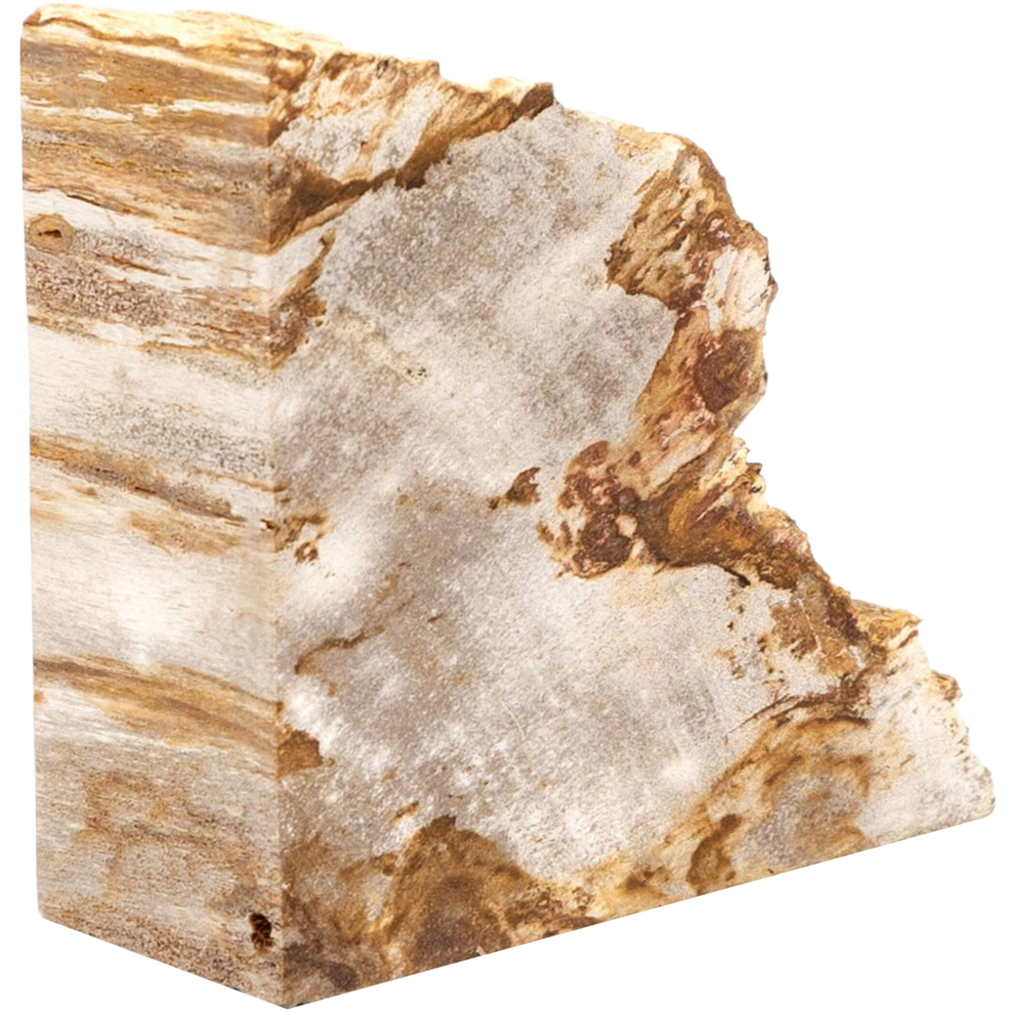 Kivo Petrified Wood Book Ends, Light Petrified Wood 11 Kivo Petrified Wood Book Ends, Light Petrified Wood