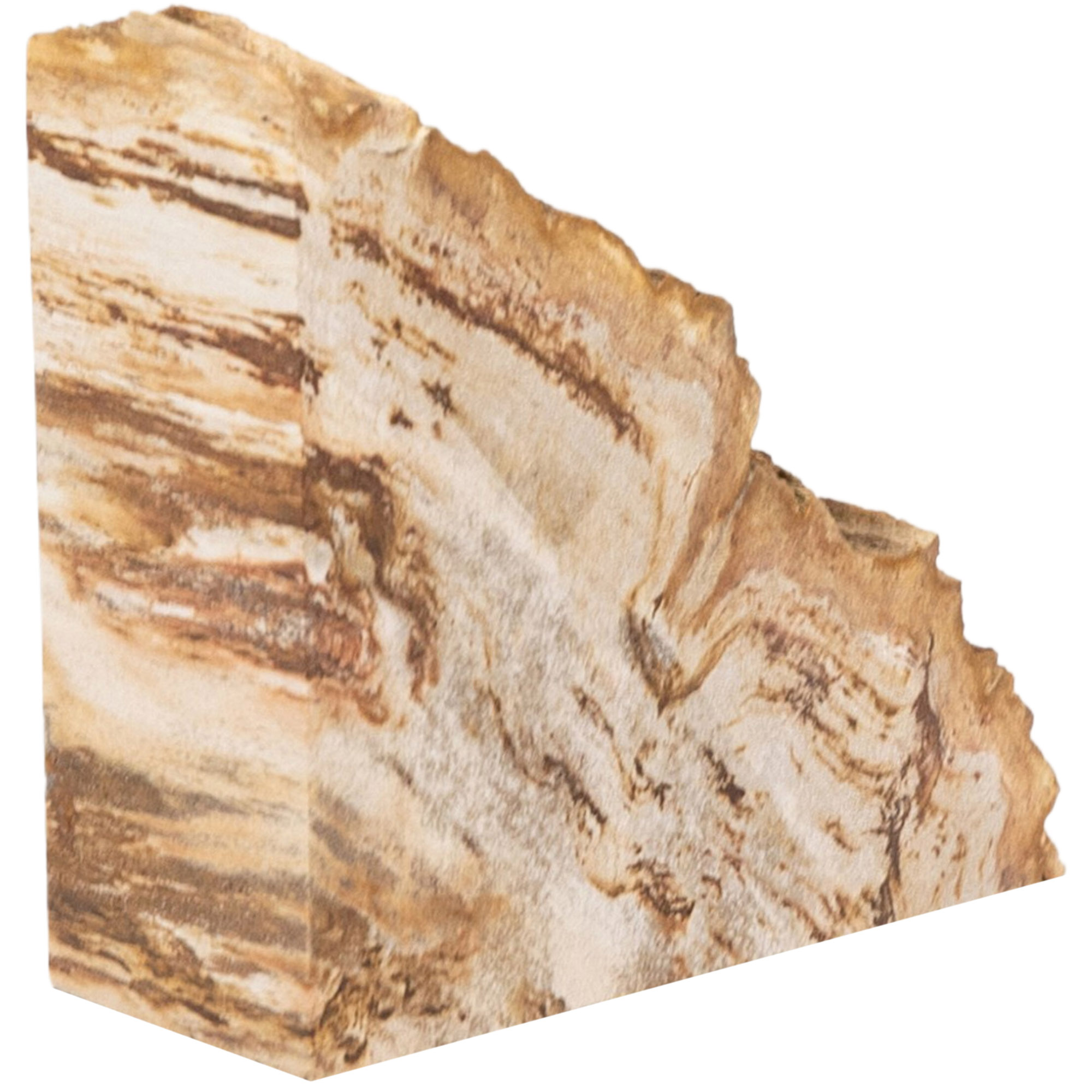 Kivo Petrified Wood Book Ends, Light Petrified Wood 12 Kivo Petrified Wood Book Ends, Light Petrified Wood