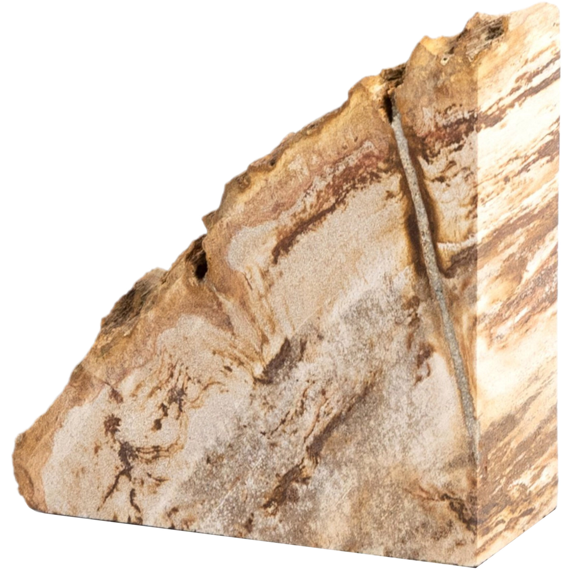 Kivo Petrified Wood Book Ends, Light Petrified Wood 3 Kivo Petrified Wood Book Ends, Light Petrified Wood