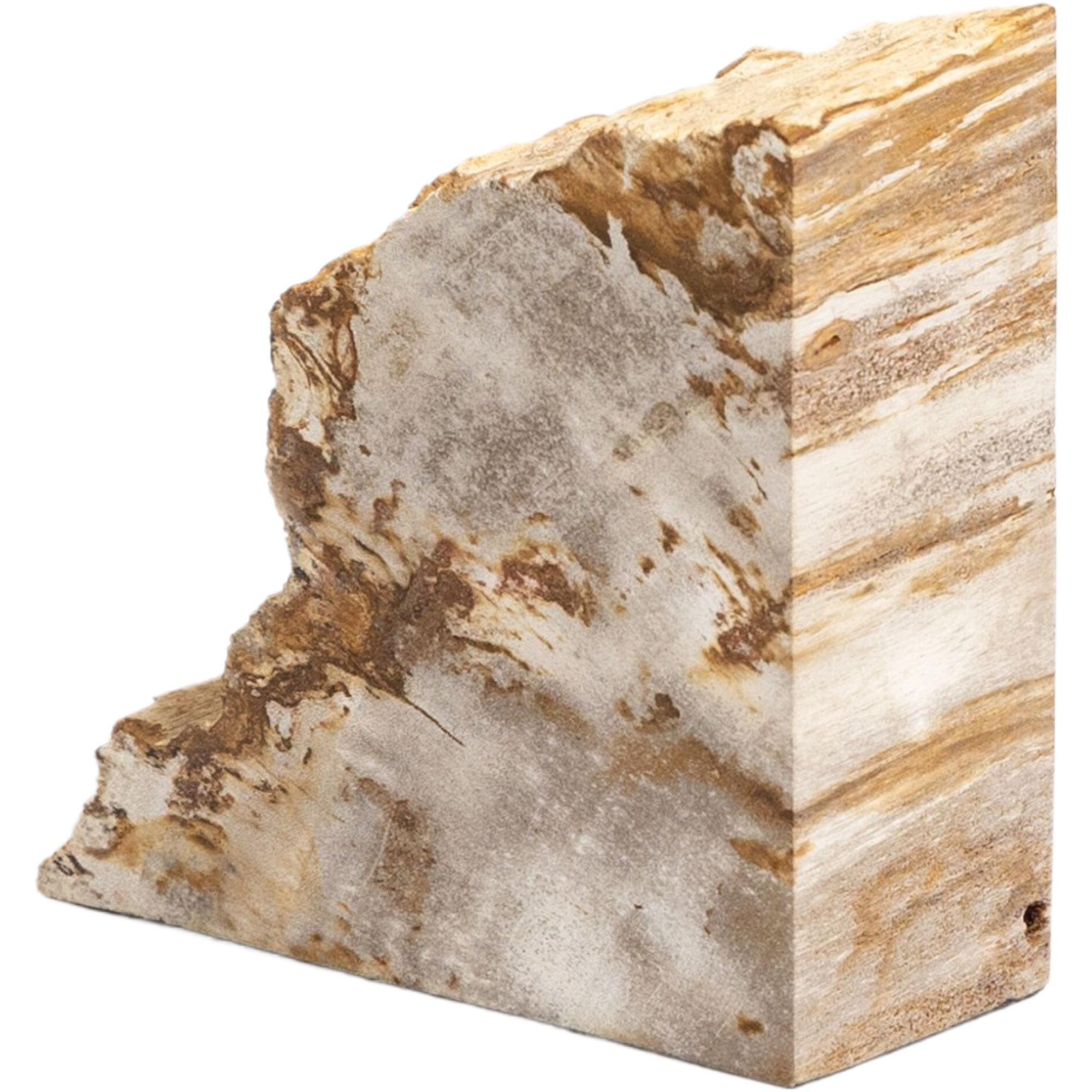 Kivo Petrified Wood Book Ends, Light Petrified Wood 4 Kivo Petrified Wood Book Ends, Light Petrified Wood