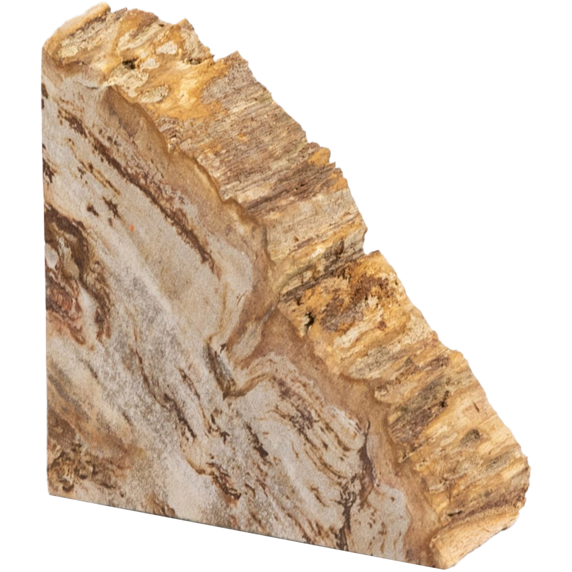 Kivo Petrified Wood Book Ends, Light Petrified Wood 5 Kivo Petrified Wood Book Ends, Light Petrified Wood
