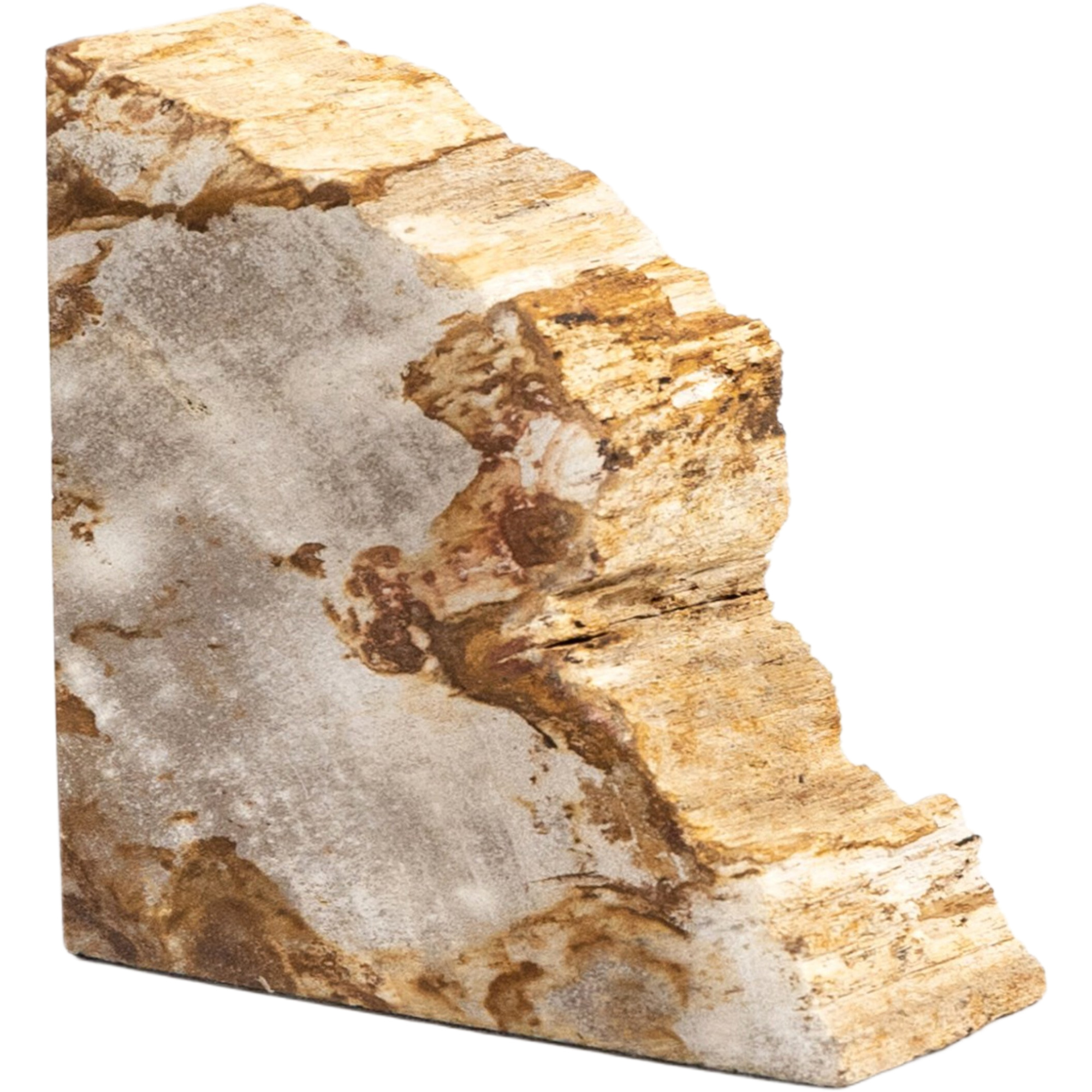 Kivo Petrified Wood Book Ends, Light Petrified Wood 7 Kivo Petrified Wood Book Ends, Light Petrified Wood