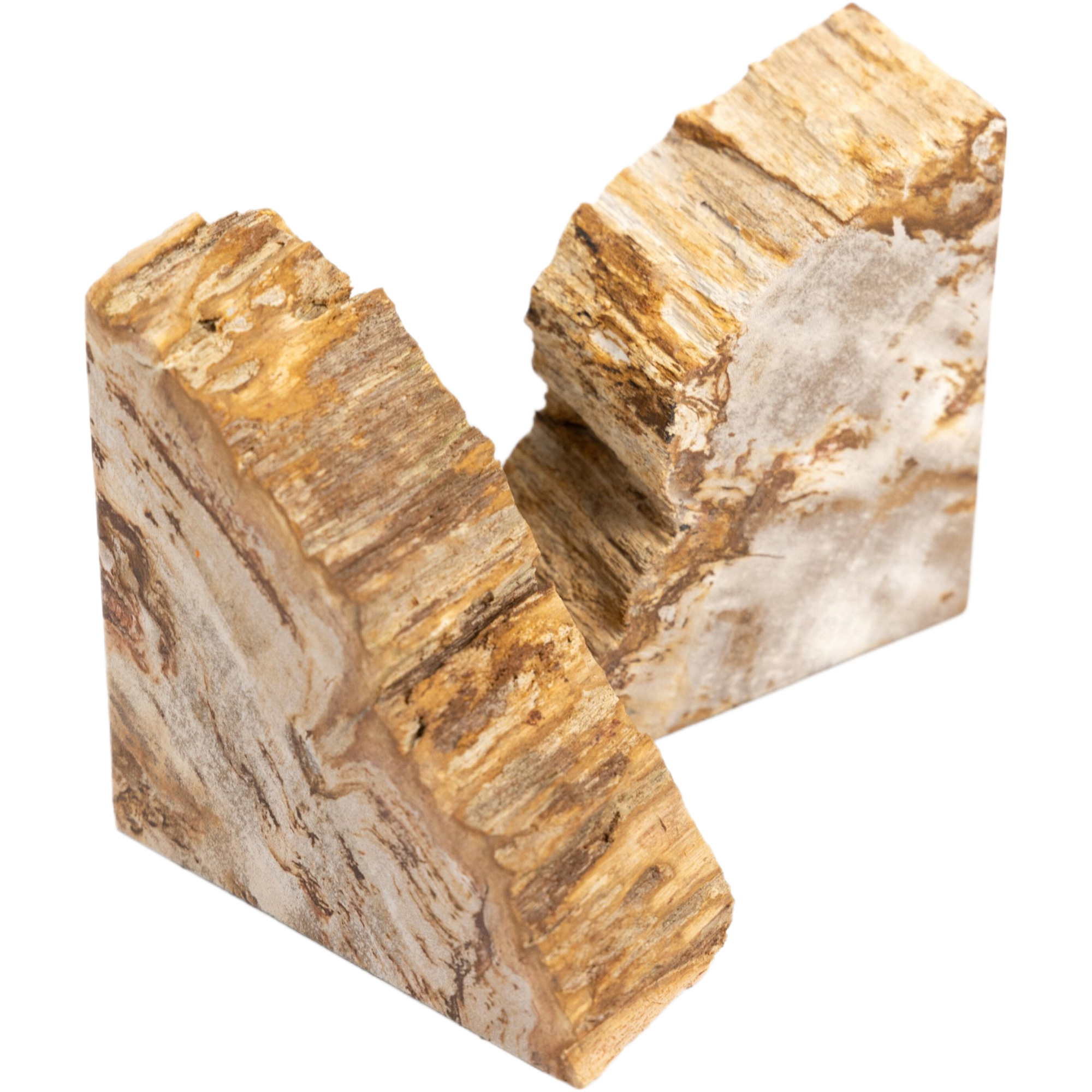 Kivo Petrified Wood Book Ends, Light Petrified Wood 8 Kivo Petrified Wood Book Ends, Light Petrified Wood