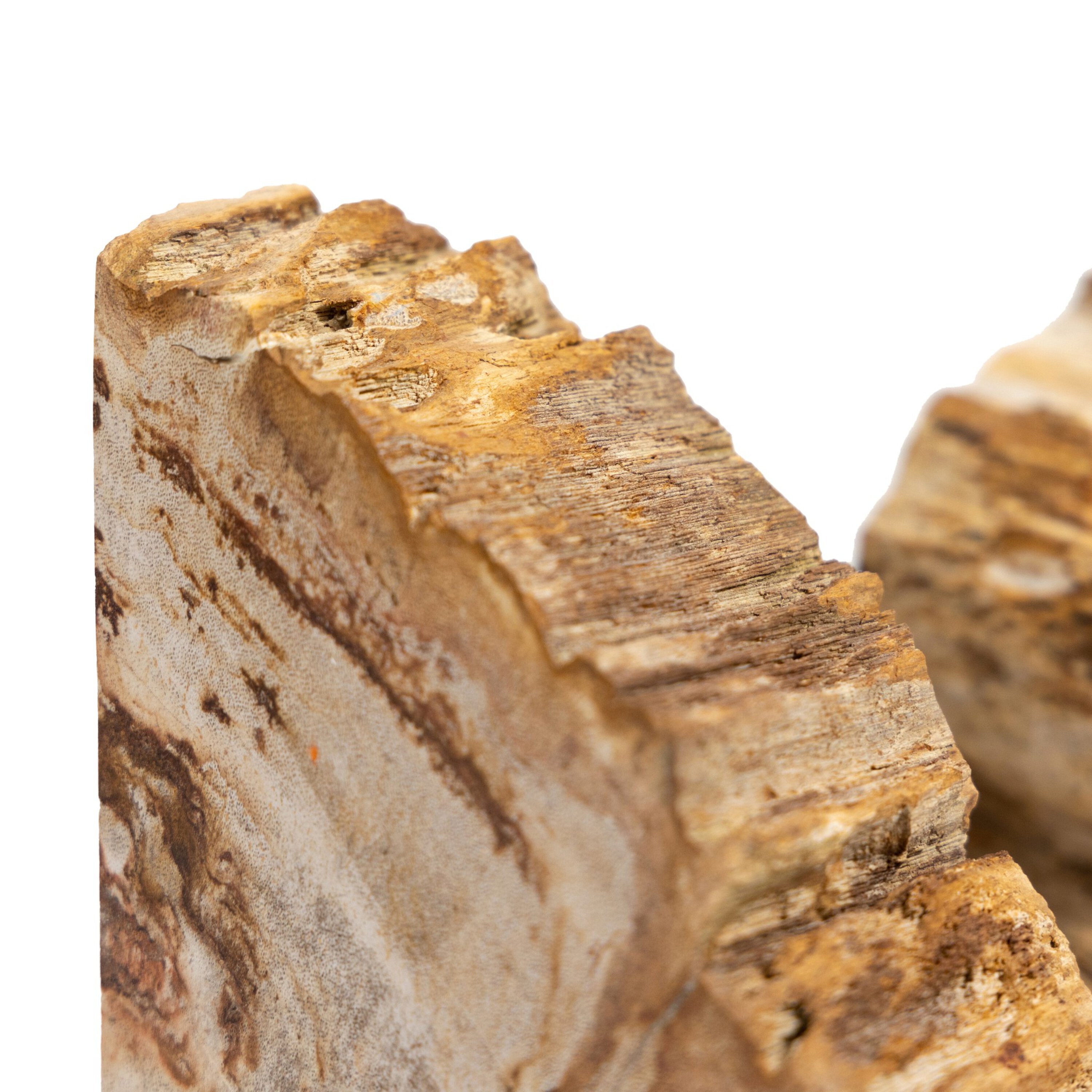 Kivo Petrified Wood Book Ends, Light Petrified Wood 9 Kivo Petrified Wood Book Ends, Light Petrified Wood