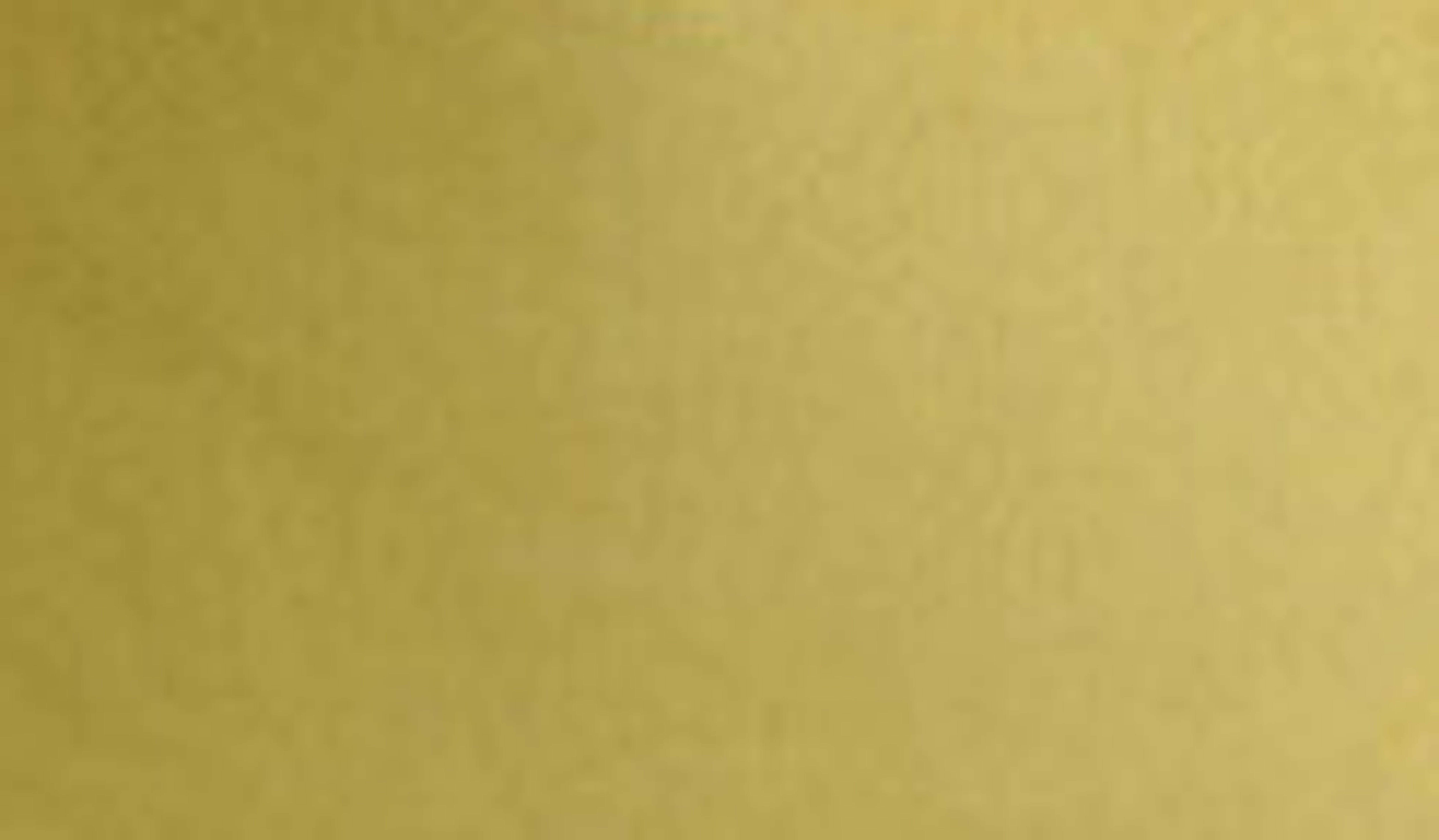 Solid Gold Colored Cotton-Velvet Pillow 2 Solid Gold Colored Cotton-Velvet Pillow