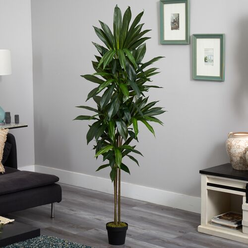 72" Faux Dracaena Plant 2 72" Faux Dracaena Plant