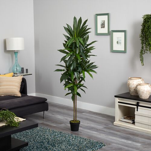 72" Faux Dracaena Plant 3 72" Faux Dracaena Plant