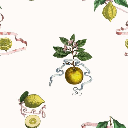 Yuki Osada, Lemon Toile Wallpaper
