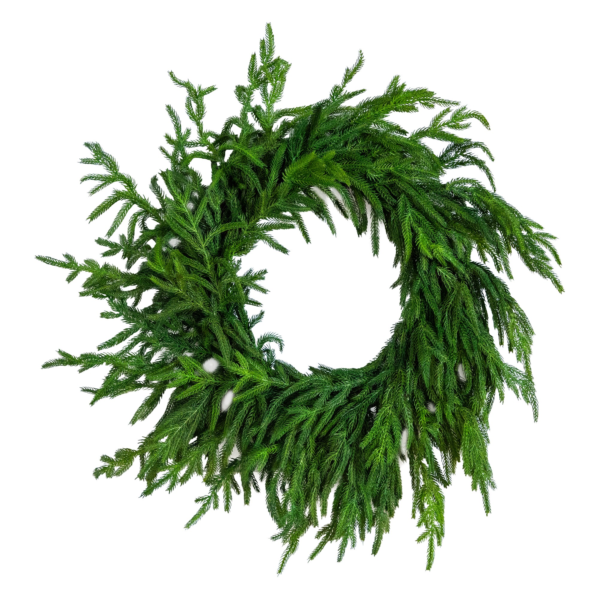24" Real Touch Norfolk Island Pine Wreath with Natural Look