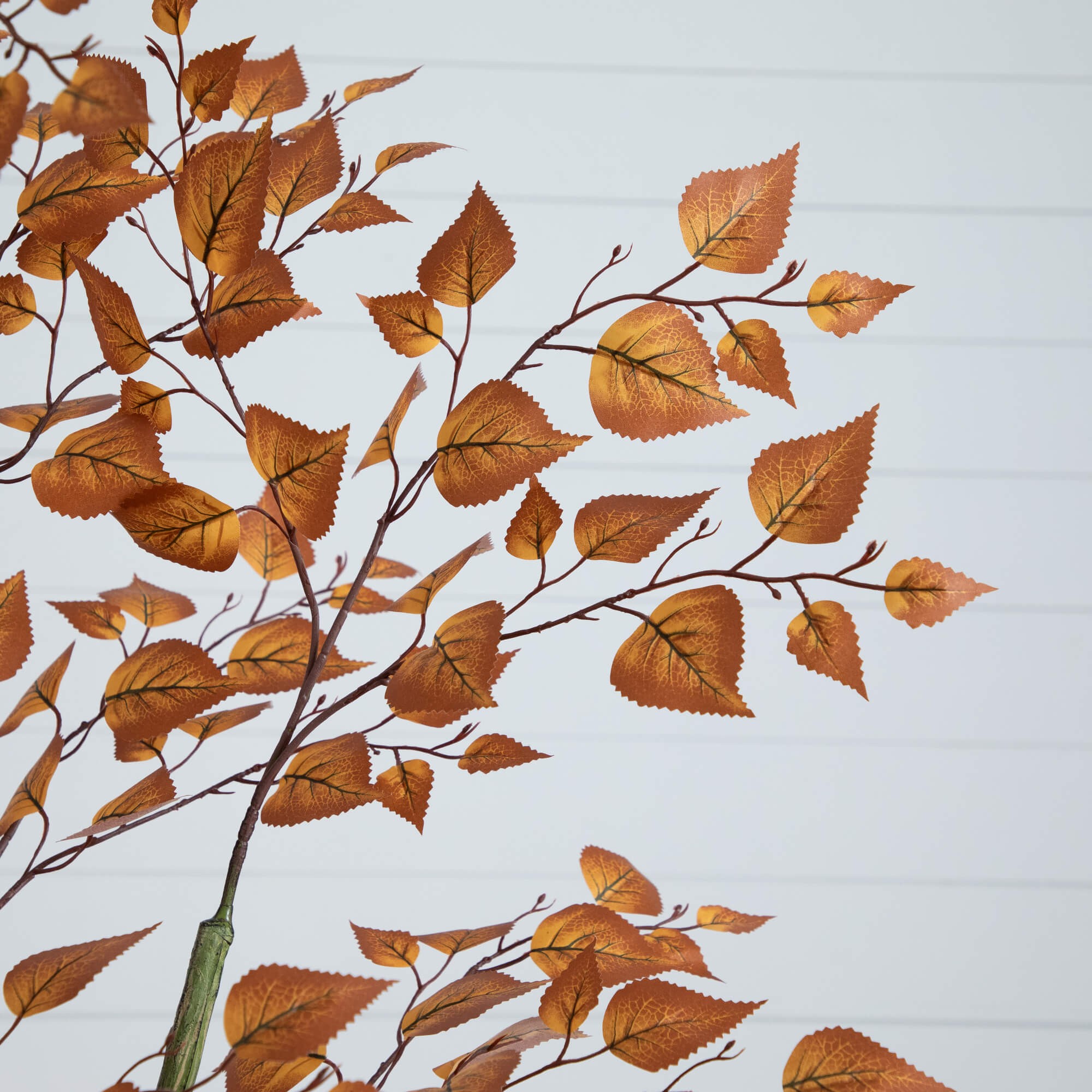 6-ft Autumn Birch Leaf Fall Tree 3 6-ft Autumn Birch Leaf Fall Tree