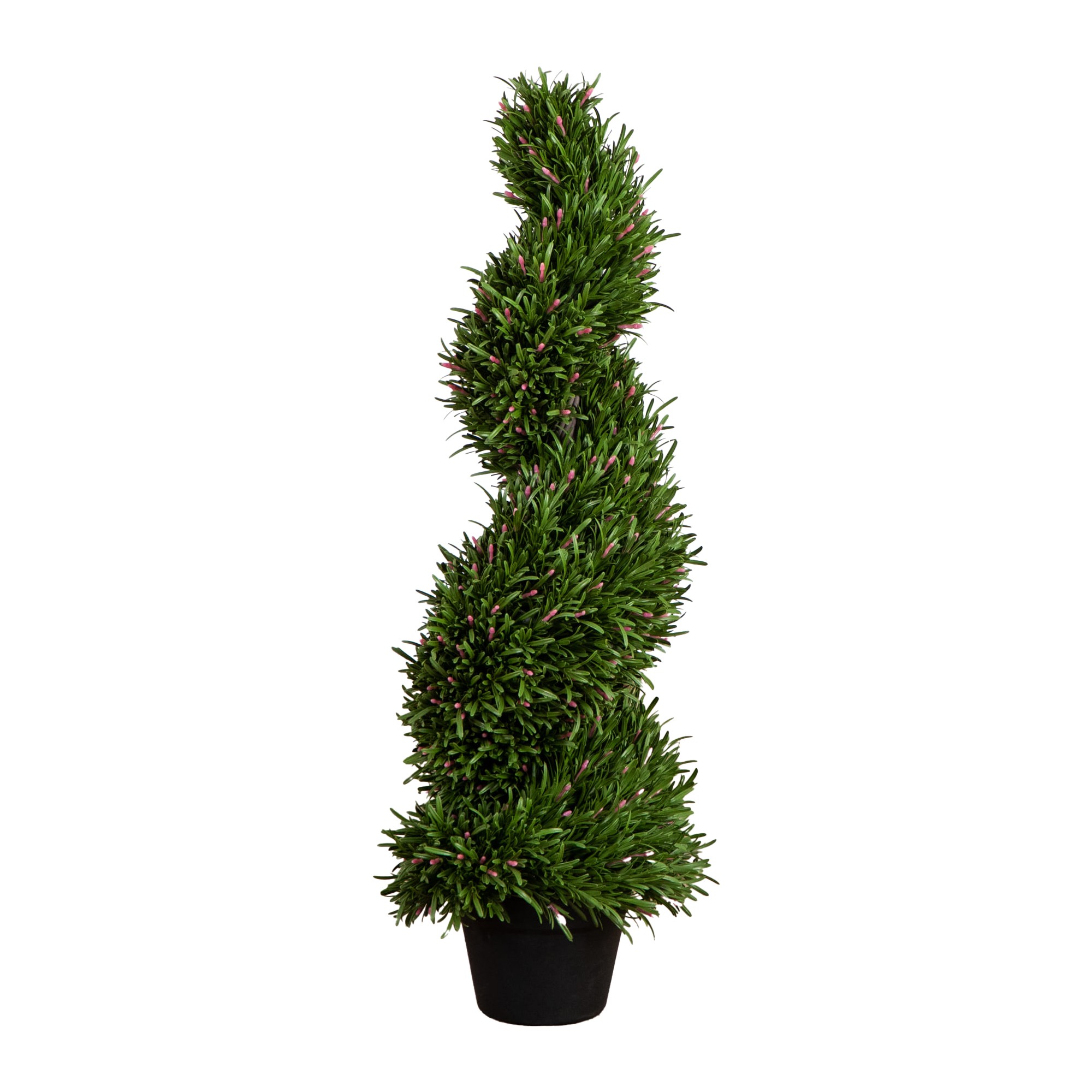 UV Resistant Rosemary Spiral Topiary Tree (Indoor/Outdoor) 1 UV Resistant Rosemary Spiral Topiary Tree (Indoor/Outdoor)