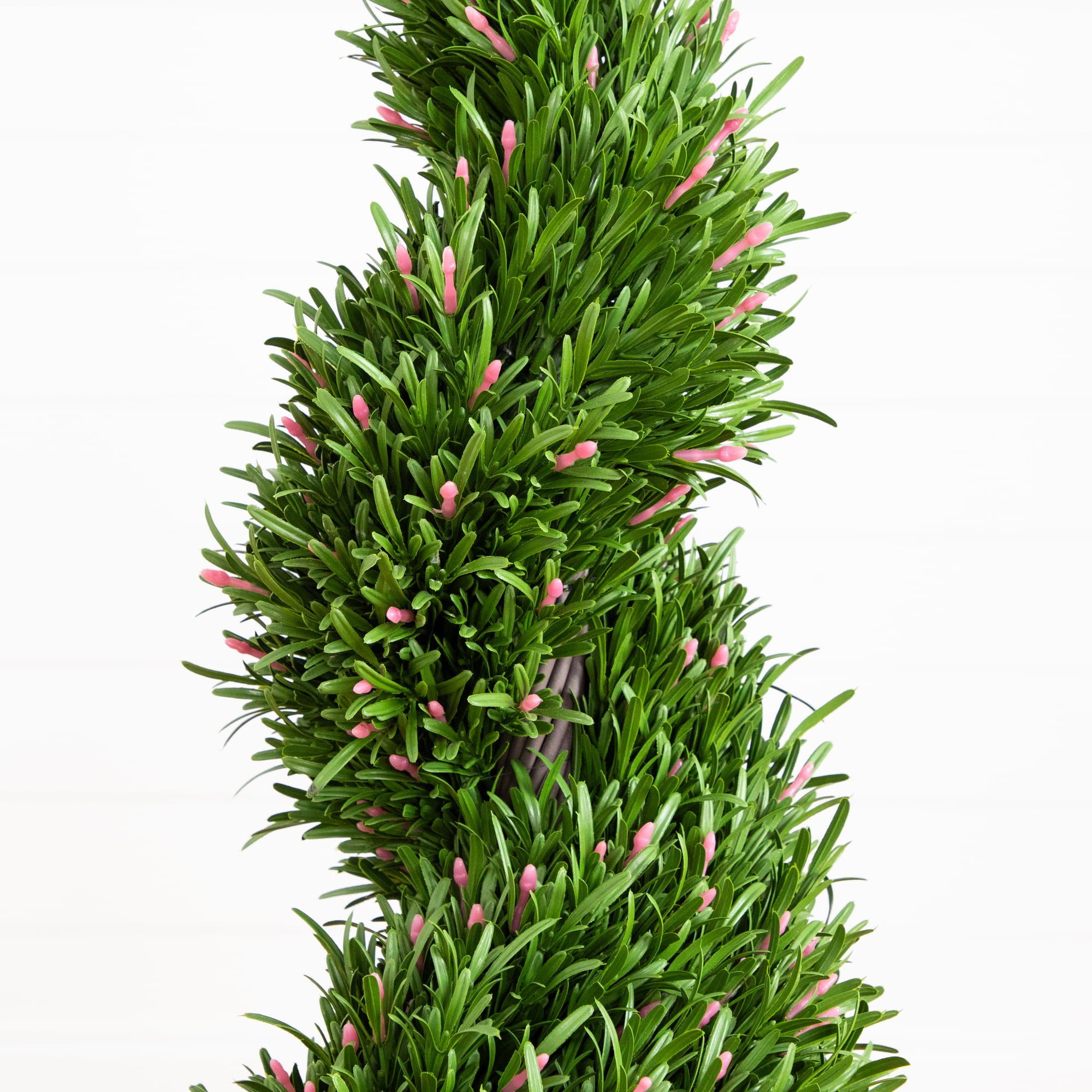 UV Resistant Rosemary Spiral Topiary Tree (Indoor/Outdoor) 4 UV Resistant Rosemary Spiral Topiary Tree (Indoor/Outdoor)