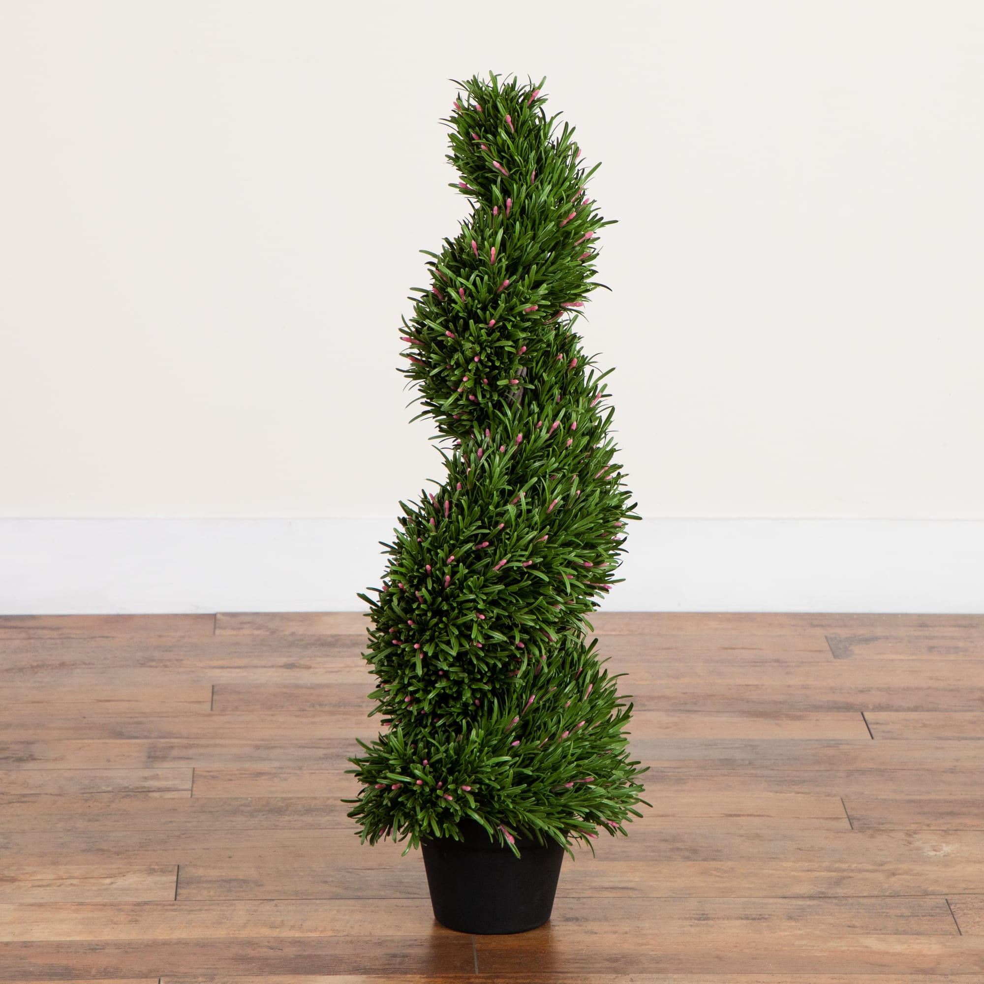 UV Resistant Rosemary Spiral Topiary Tree (Indoor/Outdoor) 5 UV Resistant Rosemary Spiral Topiary Tree (Indoor/Outdoor)