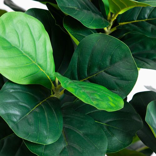 Faux Grand Fiddle Leaf Tree in White Decorative Planter 8 Faux Grand Fiddle Leaf Tree in White Decorative Planter