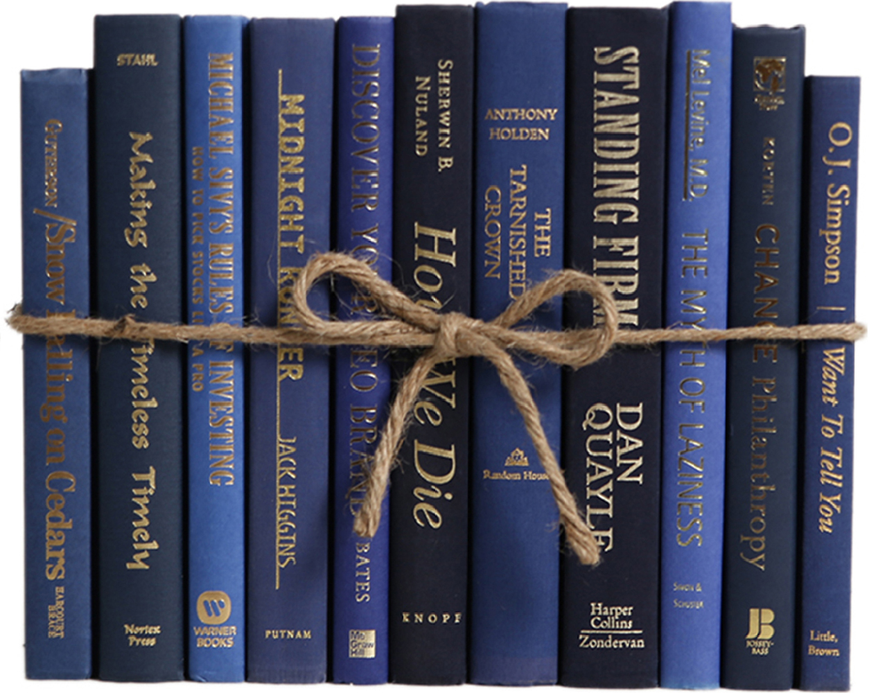 1-Foot Modern Book Bundle, Denim/Gold 1 1-Foot Modern Book Bundle, Denim/Gold