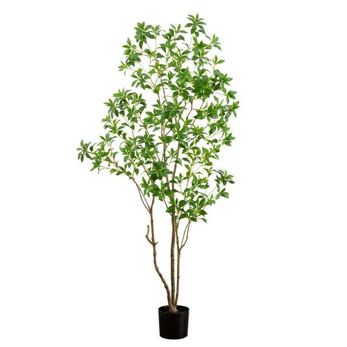 7ft. Artificial Minimalist Japanese Pieris Tree with Real Touch Leaves 1 7ft. Artificial Minimalist Japanese Pieris Tree with Real Touch Leaves