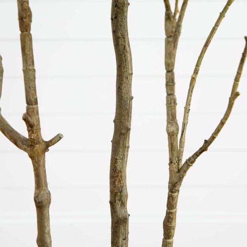 7ft. Artificial Minimalist Japanese Pieris Tree with Real Touch Leaves 4 7ft. Artificial Minimalist Japanese Pieris Tree with Real Touch Leaves