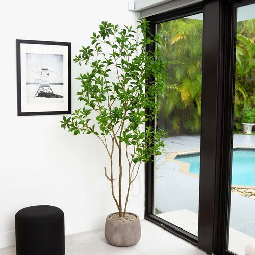 7ft. Artificial Minimalist Japanese Pieris Tree with Real Touch Leaves 5 7ft. Artificial Minimalist Japanese Pieris Tree with Real Touch Leaves