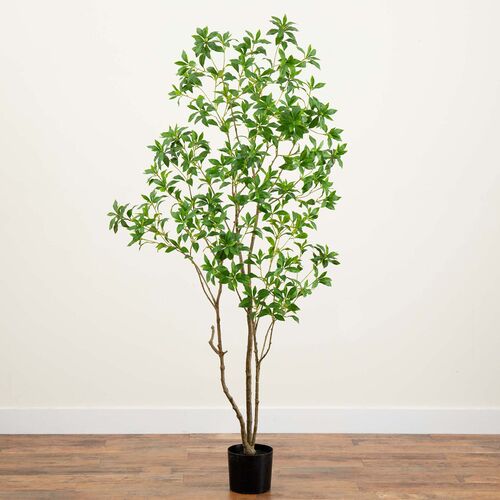 7ft. Artificial Minimalist Japanese Pieris Tree with Real Touch Leaves 6 7ft. Artificial Minimalist Japanese Pieris Tree with Real Touch Leaves