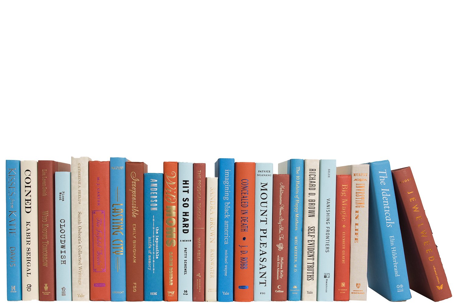Modern Decorative Books by the Foot, Rustic Ocean 1 Modern Decorative Books by the Foot, Rustic Ocean