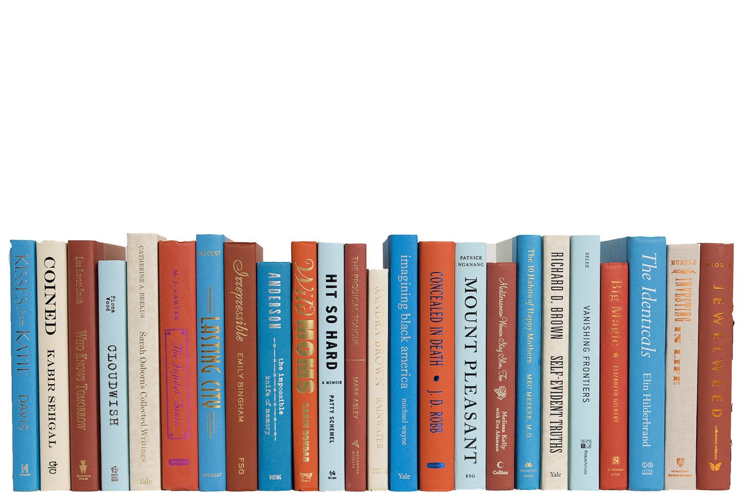 Modern Decorative Books by the Foot, Rustic Ocean 2 Modern Decorative Books by the Foot, Rustic Ocean