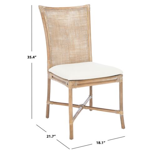 S/2 Aleksandra Rattan Accent Chairs, Gray 11 S/2 Aleksandra Rattan Accent Chairs, Gray